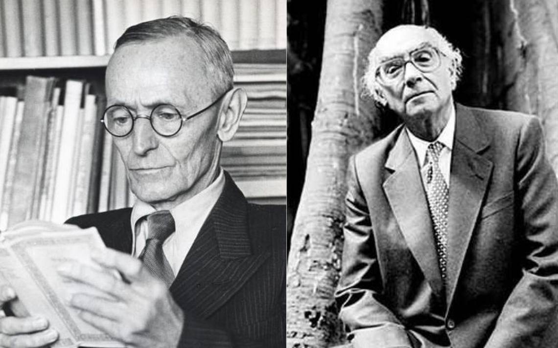 9 literary suggestions for June: from Hermann Hesse to José Saramago – El Sol de Tampico