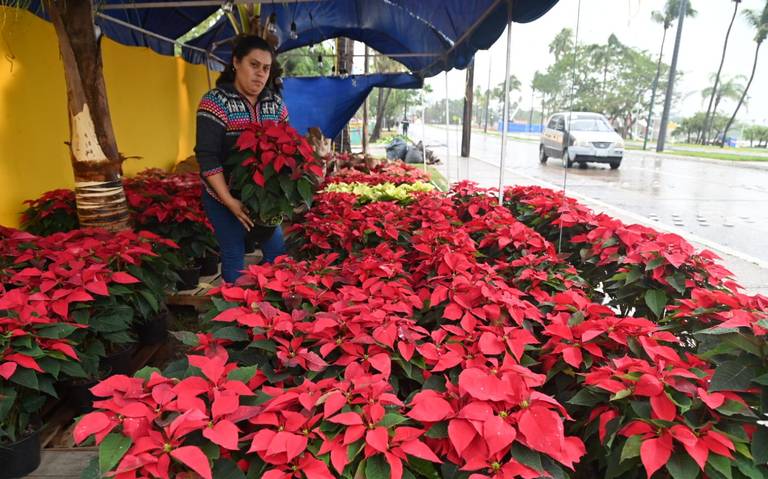 Ponche navideño no es mexicano, te contamos el origen - El Sol de Tampico |  Noticias Locales, Policiacas, sobre México, Tamaulipas y el Mundo