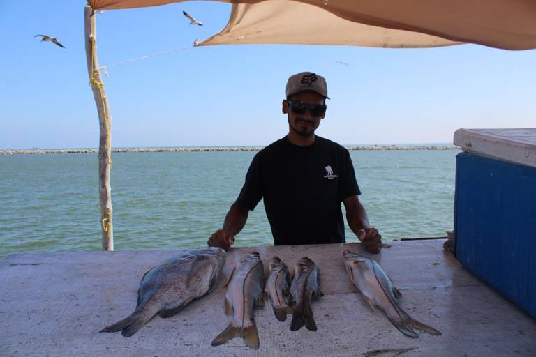 Jonathan practica la pesca con arpón, revela lo que ha visto debajo de playa  Miramar [Fotos] - El Sol de Tampico
