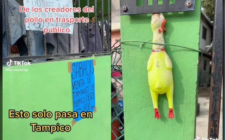Reaparece el pollo de hule: lo tienes que apretar para comprar heladitos -  El Sol de Tampico | Noticias Locales, Policiacas, sobre México, Tamaulipas  y el Mundo