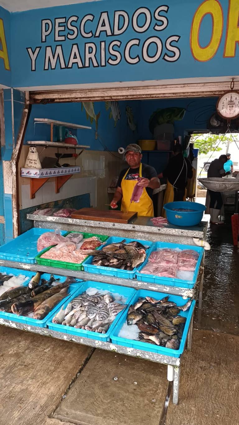 Inicia la Cuaresma 2023: precio de los pescados y mariscos más populares en  Altamira - El Sol de Tampico | Noticias Locales, Policiacas, sobre México,  Tamaulipas y el Mundo