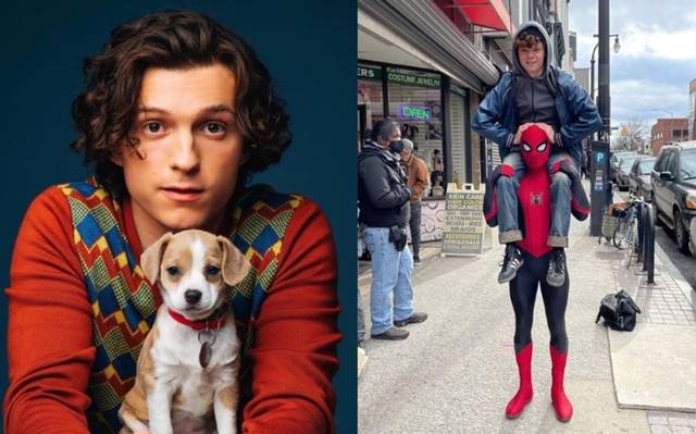 Tom Holland cierra redes sociales por qué tomó esta decisión - El Sol de  Sinaloa | Noticias Locales, Policiacas, sobre México, Sinaloa y el Mundo