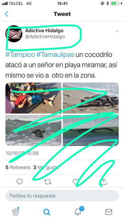 Falso ataque de cocodrilo causa alarma en playas de Tampico - El Sol de  Puebla | Noticias Locales, Policiacas, sobre México, Puebla y el Mundo