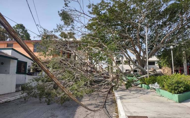 Por imitar al “Teniente Harina”, comandante de la policía es suspendido -  El Sol de Tampico