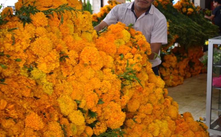 Flores suben hasta 35% en la víspera de Día de Muertos - El Sol de Tampico  | Noticias Locales, Policiacas, sobre México, Tamaulipas y el Mundo