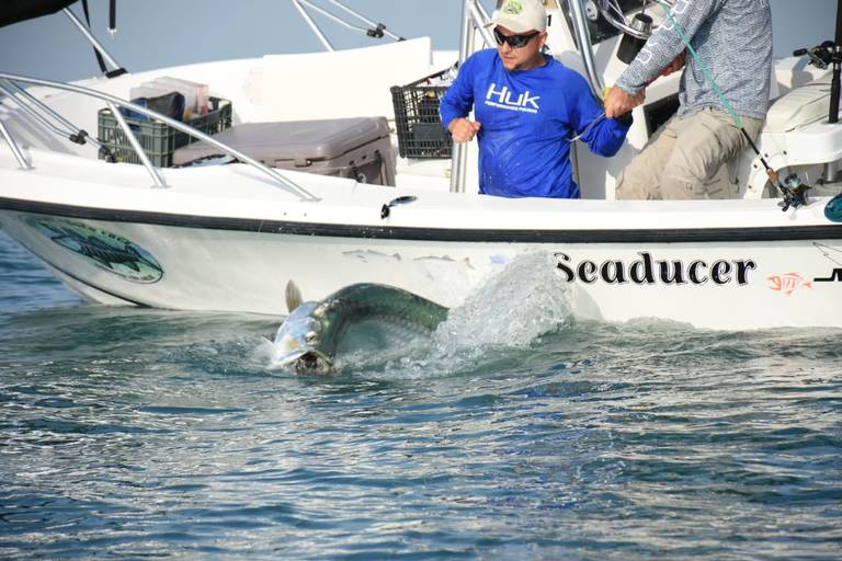 Torneo del Sábalo del Club de Regatas Corona, te decimos fechas, sedes y  premios - El Sol de Tampico | Noticias Locales, Policiacas, sobre México,  Tamaulipas y el Mundo