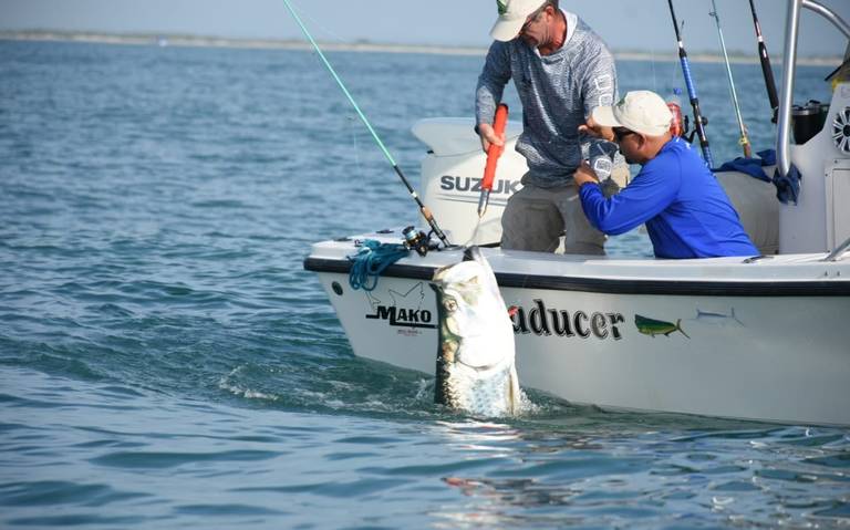 Torneo del Sábalo del Club de Regatas Corona, te decimos fechas, sedes y  premios - El Sol de Tampico | Noticias Locales, Policiacas, sobre México,  Tamaulipas y el Mundo