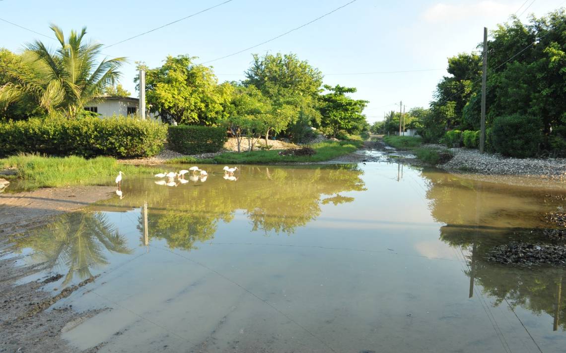 Te imaginas vivir en una calle que siempre está inundada? Así es en el  sector Conchero - El Sol de Tampico | Noticias Locales, Policiacas, sobre  México, Tamaulipas y el Mundo