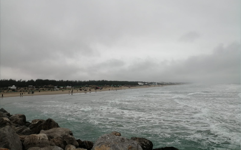 Cocodrilos sí pueden llegar a playa Miramar, advierten autoridades - El Sol  de Tampico | Noticias Locales, Policiacas, sobre México, Tamaulipas y el  Mundo