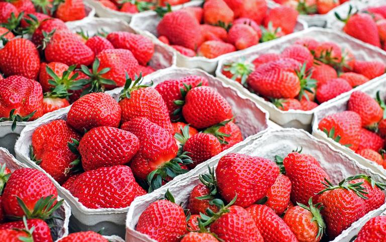 Brote de hepatitis A podría estar relacionado con fresas frescas orgánicas