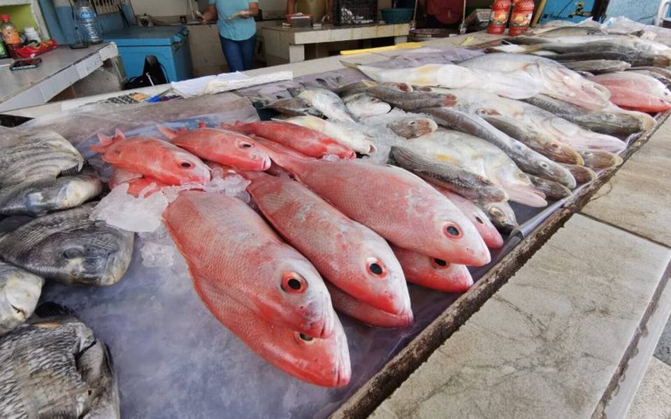 Comerciantes de pescado y marisco registran bajas ventas en Pueblo Viejo,  Veracruz por la canícula - El Sol de Tampico | Noticias Locales,  Policiacas, sobre México, Tamaulipas y el Mundo