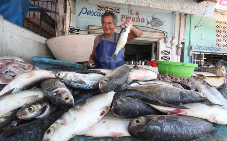 Pescados y mariscos: las delicias del mar de Tamaulipas - El Sol de Tampico  | Noticias Locales, Policiacas, sobre México, Tamaulipas y el Mundo