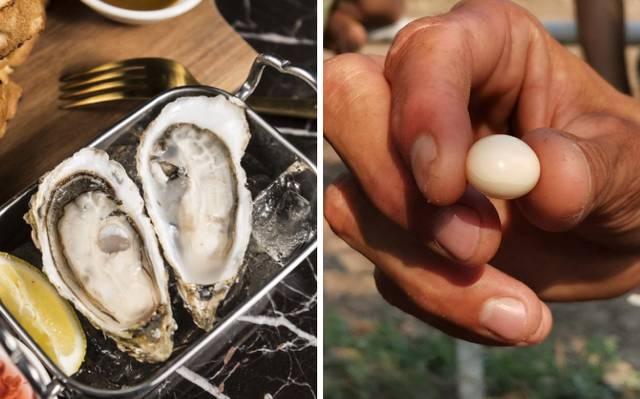 Pescador encuentra perla en almeja que se iba a comer en Tampico Alto - El  Sol de México | Noticias, Deportes, Gossip, Columnas