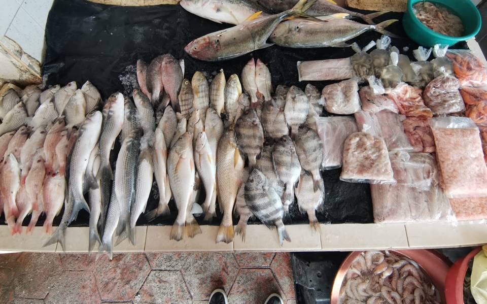 Pesca en crisis: escasez de especies por falta de lluvias en Veracruz y Tamaulipas – El Sol de Tampico