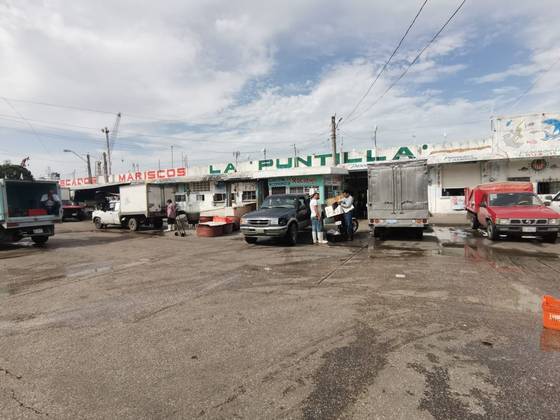 Pescados y mariscos en Tampico se mudan de La Puntilla al mercado Ávila  Camacho - El Sol de Tampico | Noticias Locales, Policiacas, sobre México,  Tamaulipas y el Mundo